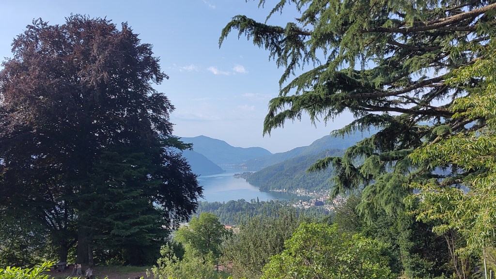 Terrific Trail Run